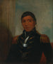 Chippewa af Big Buffalo - Henry Inman — visning af kunstværket