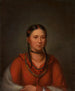 Hayne Hudjihini Aigle des délices - Henry Inman — visning af kunstværket