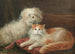 Studie af en hule og en kat - Henry Maurice Page — visning af kunstværket