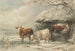 Vaches en hiver - Henry Willis — visning af kunstværket