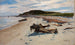 Plage de Cape Cod - Herman Hartwich — visning af kunstværket