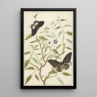 Hermanus de Wit - Two Exotic Butterflies on a Blooming Bush.webp