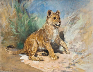 Un lionceau - Heywood Hardy — visning af kunstværket