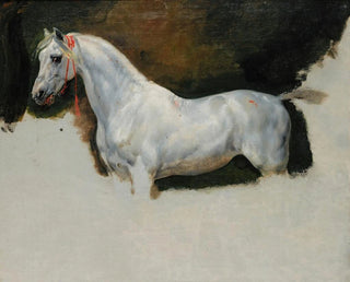 Horace Vernet - Study of a white horse.webp