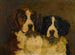 Studie af to Saint Bernards - Hugh George Shaw — visning af kunstværket