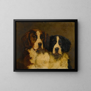 Hugh George Shaw - Study Of Two St Bernards.webp