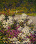 Phlox hvid - Hugh Henry Breckenridge — visning af kunstværket