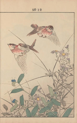 Imao Keinen - Keinen kach gafu Pl014.webp