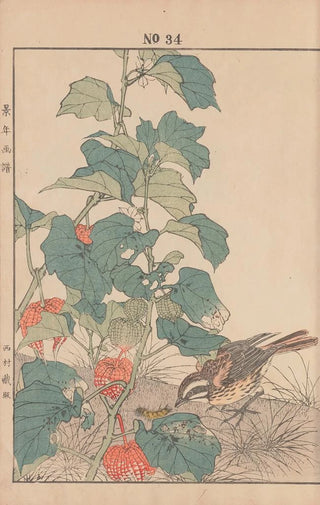 Imao Keinen - Keinen kach gafu Pl037.webp