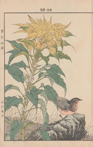 Imao Keinen - Keinen kach gafu Pl039.webp