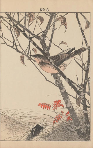 Imao Keinen - Keinen kach gafu Pl126.webp