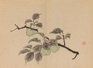 Imao Keinen - Keinen shugajo Pl30.webp