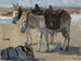 To æsler - Isaac Israëls — visning af kunstværket