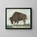 Bison - Isaac van Haastert — indrammet kunstværk på væggen