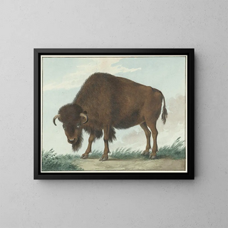 Bison - Isaac van Haastert — indrammet kunstværk på væggen