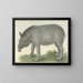 Tapir - Isaac van Haastert — indrammet kunstværk på væggen