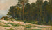 fyrretræs skov - Ivan Ivanovich Shishkin — visning af kunstværket
