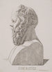 Buste af Socrates - Jacob Kornerup — visning af kunstværket