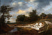 Falaise sablonneuse - Jacob van Ruisdael — visning af kunstværket
