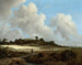 et hvedeudbygningsbillede med en by i det fjerne - Jacob van Ruisdael — visning af kunstværket