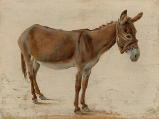 En æsel - Jacques-Laurent Agasse — visning af kunstværket