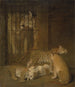 en gruppe hvalpe født mellem en løve og en tigerinde - Jacques-Laurent Agasse — visning af kunstværket