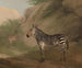 Zèbre - Jacques-Laurent Agasse — visning af kunstværket