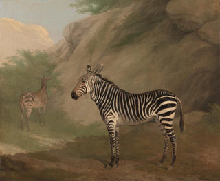 Zèbre - Jacques-Laurent Agasse — visning af kunstværket