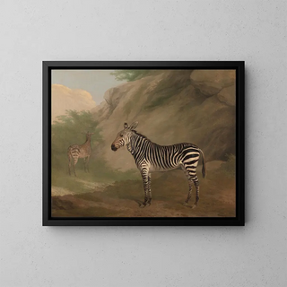 Zèbre - Jacques-Laurent Agasse — indrammet kunstværk på væggen