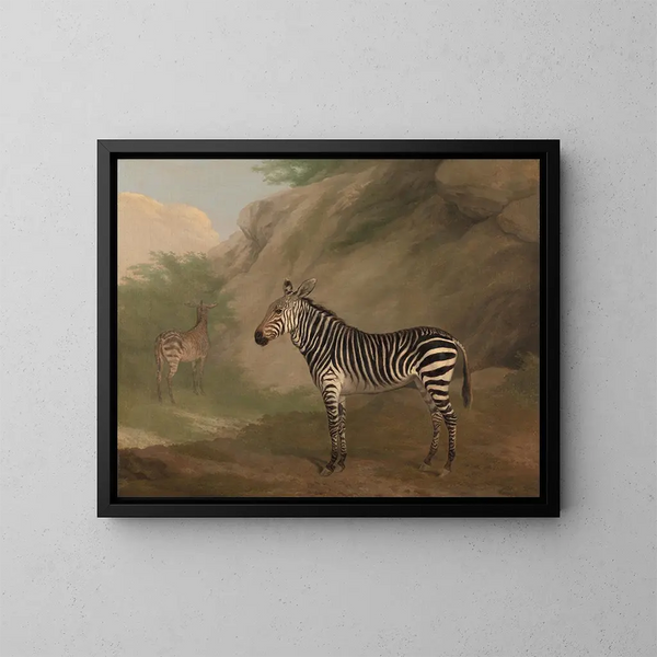 Zèbre - Jacques-Laurent Agasse — indrammet kunstværk på væggen