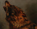 Tête de loup - Jacques-Raymond Brascassat — visning af kunstværket
