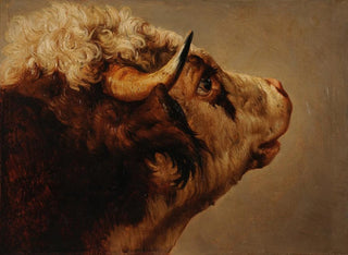 Tête de vache - Jacques-Raymond Brascassat — visning af kunstværket