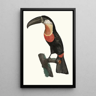 Jacques Barraband - Le Pignancoin.webp