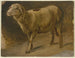 Moutons - Jakob Becker — visning af kunstværket