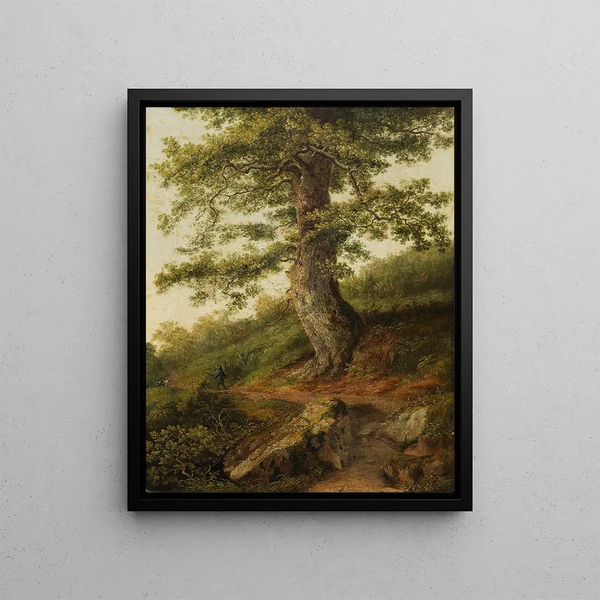 Jakob Philipp Hackert - Alter Olivenbaum bei Camaldoli.webp