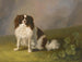 Portrait af en King Charles Spaniel i et landskab - Jakob Philipp Hackert — visning af kunstværket