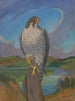 Faucon pèlerin - James C. Kulhanek — visning af kunstværket