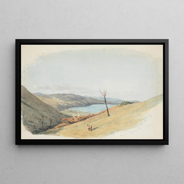 James Crowe Richmond - Wellington Thorndon Flat Tararua.webp