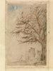 Acacia - James Ensor — visning af kunstværket