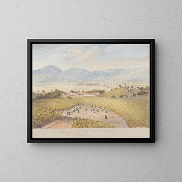 Domaine de Llanrumny, Sainte-Marie, Jamaica - James Hakewill — indrammet kunstværk på væggen