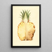 Ananas comosus, ananas - James Marion Shull — indrammet kunstværk på væggen