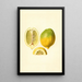 Citrus limon - James Marion Shull — indrammet kunstværk på væggen