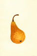 Pyrus communis Bosc - James Marion Shull — visning af kunstværket