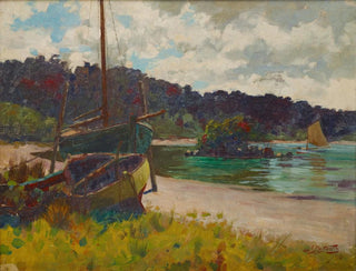 James Nairn - Half Moon Bay Stewart Island.webp