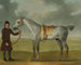 M. Thomas Panton og en grå travhest holdt af en væddeløbsjockey på Newmarket Heath - James Seymour — visning af kunstværket