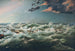 L'Admella forliste ved Cape Banks den 6. august 1859 - James Shaw — visning af kunstværket