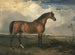 Aigle, en berømt hingst - James Ward — visning af kunstværket