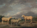 Moutons Ryelands, kongens vædder, kongens fåre og Lord Somervilles vædder - James Ward — visning af kunstværket