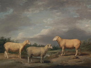 Moutons Ryelands, kongens vædder, kongens fåre og Lord Somervilles vædder - James Ward — visning af kunstværket
