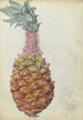 Ananas - Jan Brandes — visning af kunstværket